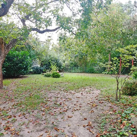 Dali 公寓 圣安德烈